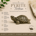 Pyrite Tortoise- For Money Growth & Long-Term Success