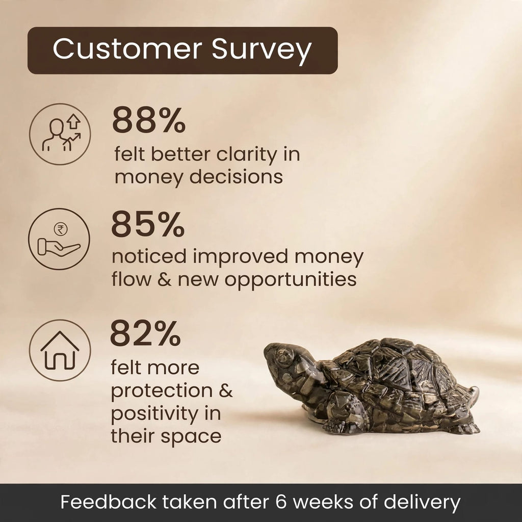 Pyrite Tortoise- For Money Growth & Long-Term Success