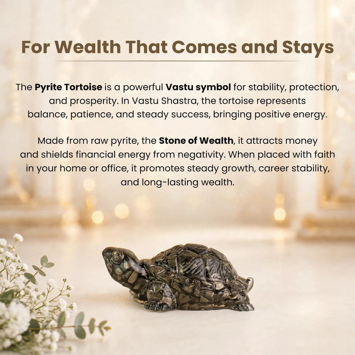 Pyrite Tortoise- For Money Growth & Long-Term Success